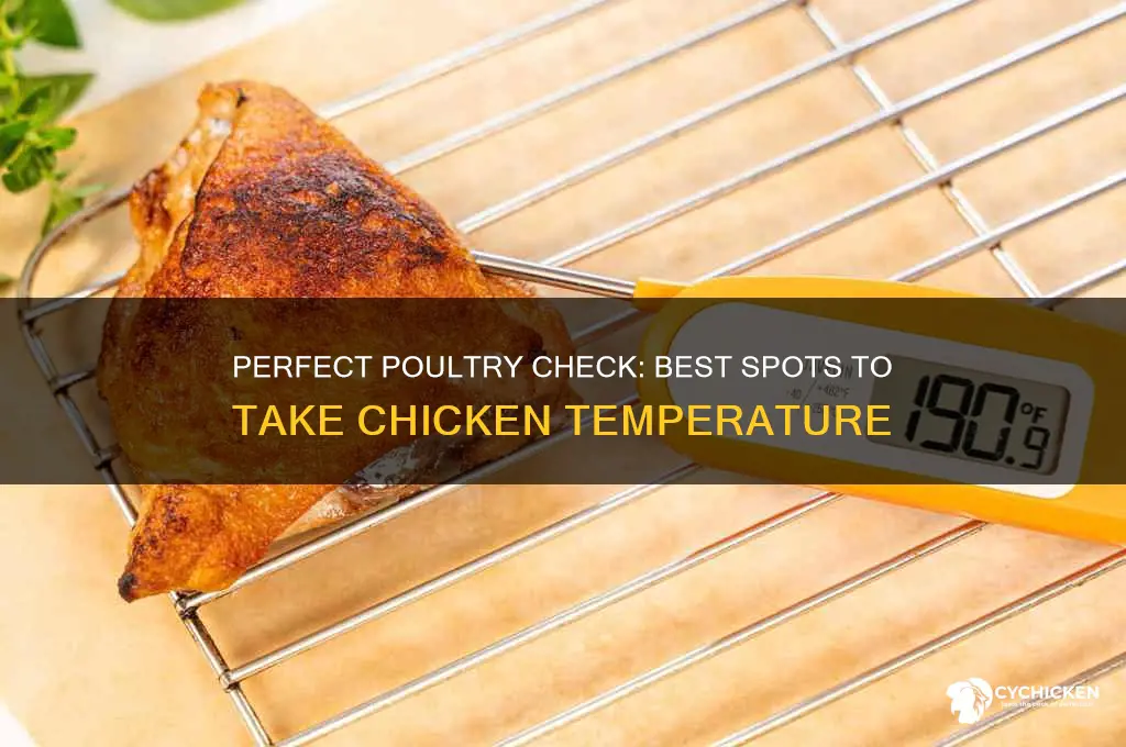 where to take the temperature of a chicken