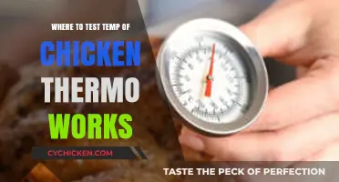 Where to Test Chicken Temperature: ThermoWorks Guide for Perfect Results