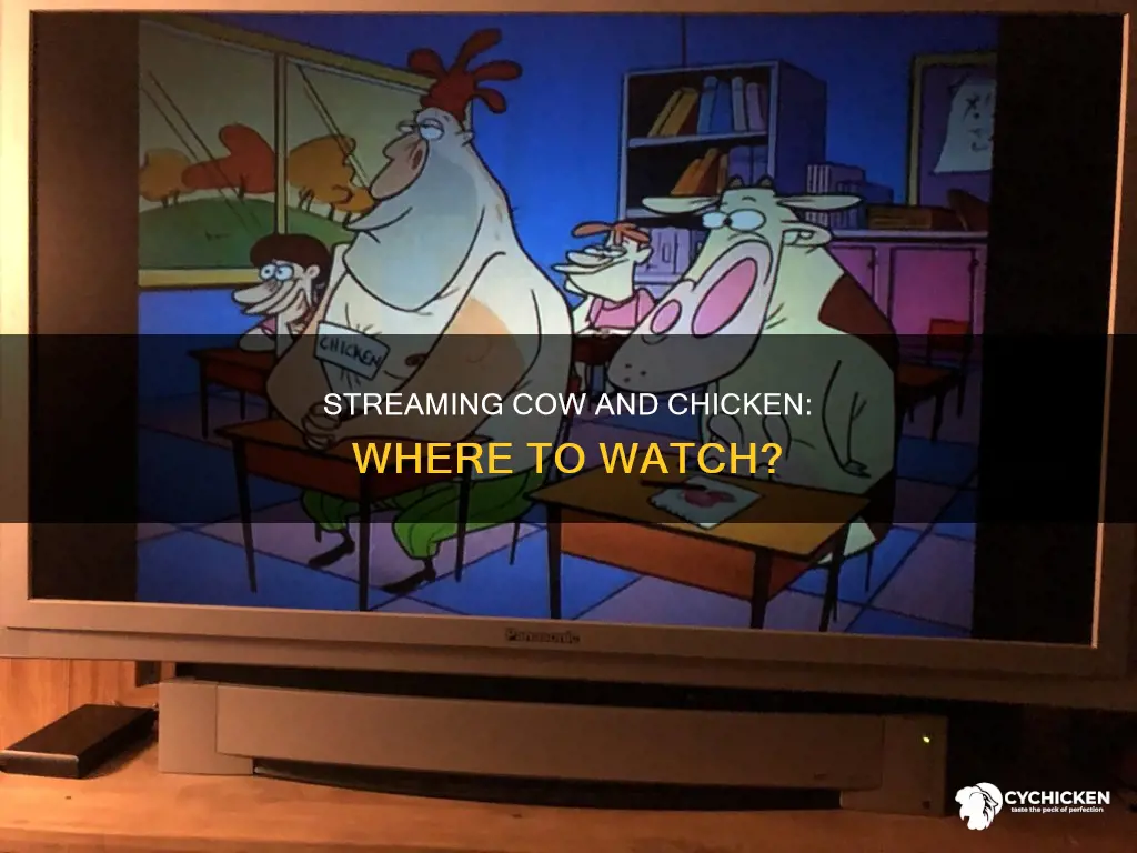 where to watch classic cartoon network cow and chicken