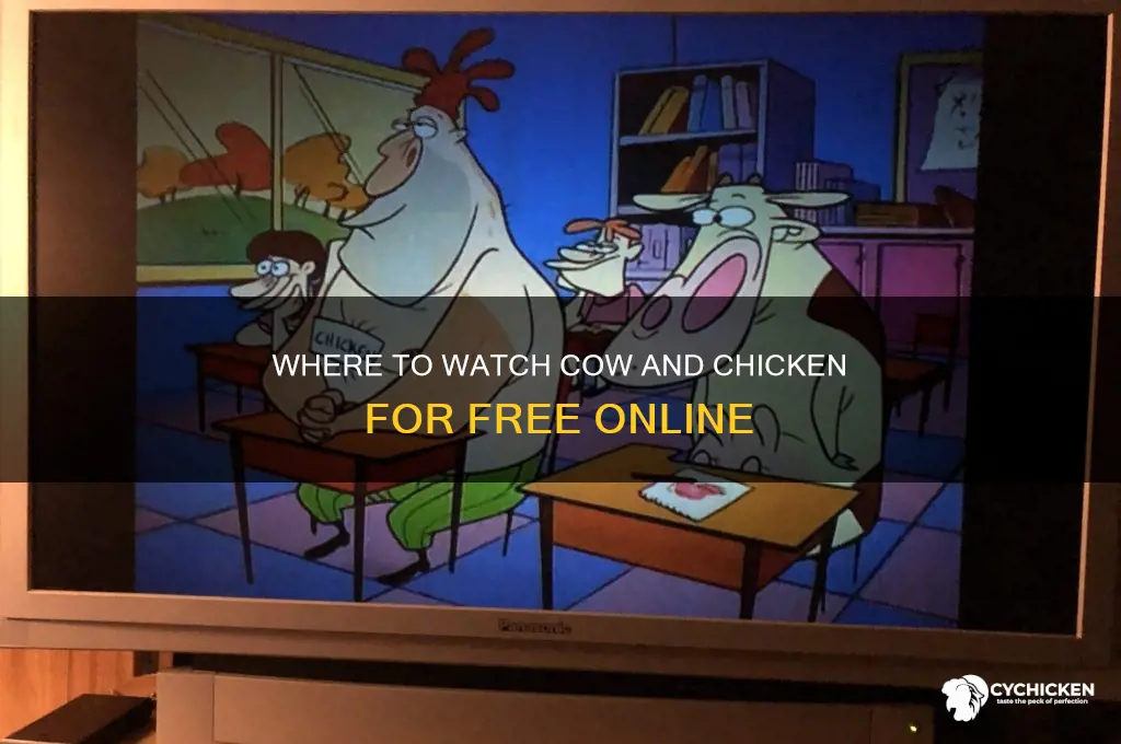 where to watch cow and chicken free