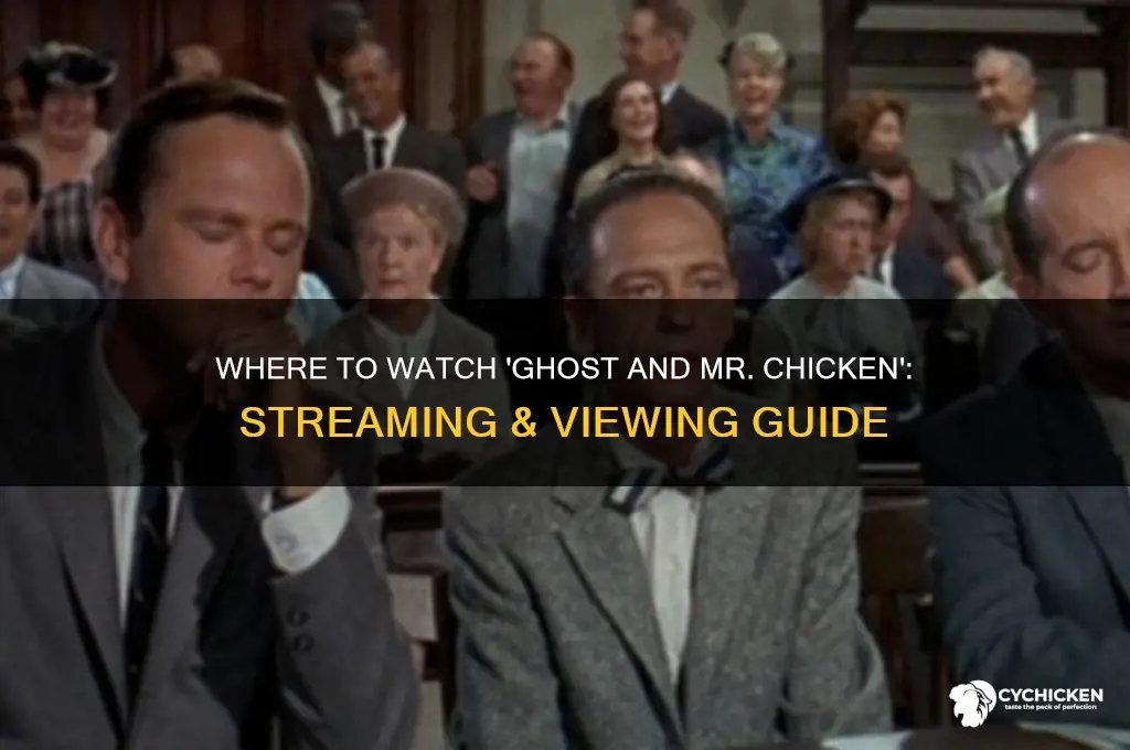 where to watch ghost and mr chicken