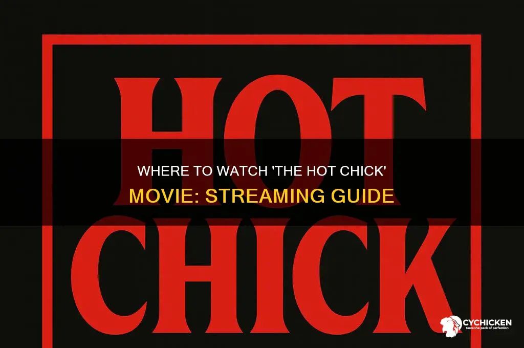 where to watch hot chick the movie