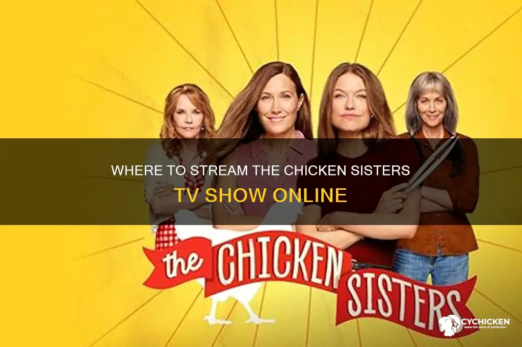 where to watch the chicken sisters television show