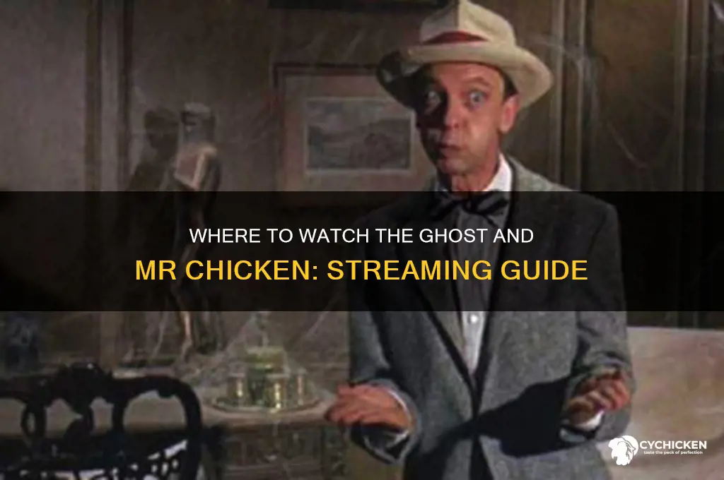 where to watch the ghost and mr chicken