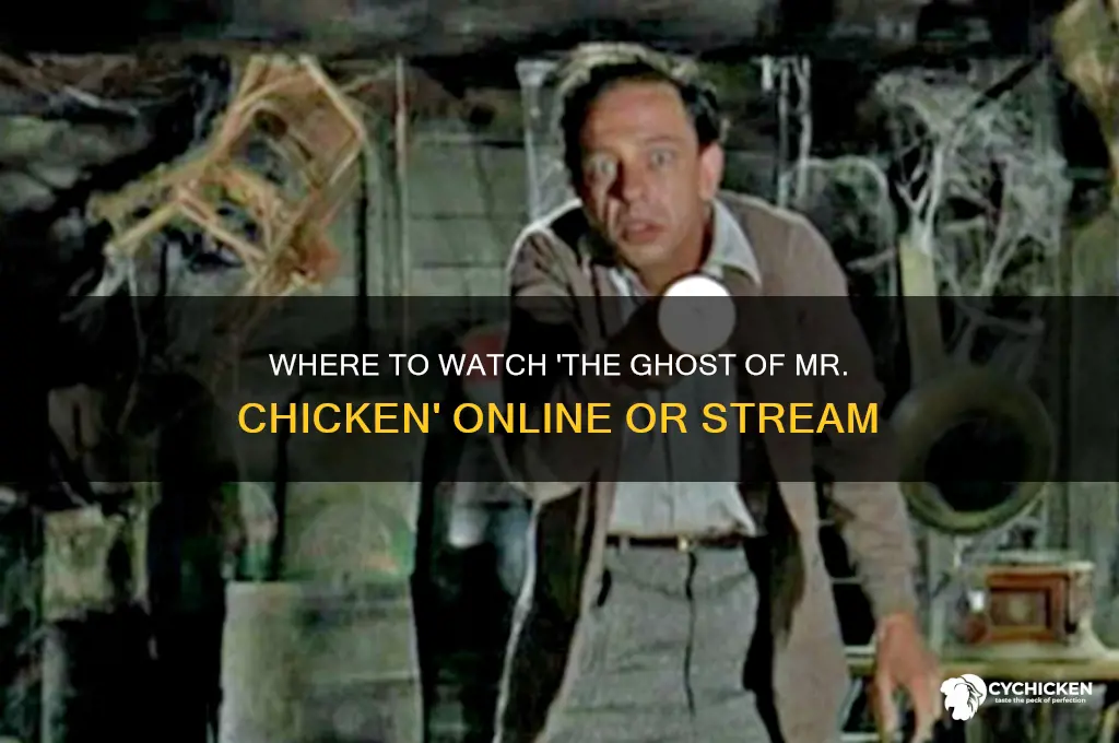 where to watch the ghost of mr chicken