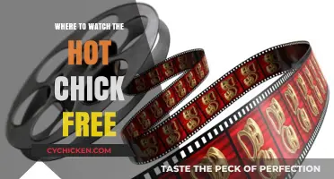 Where to Watch The Hot Chick for Free Online
