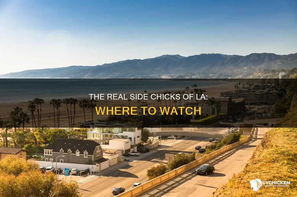 where to watch the real side chicks of los angeles