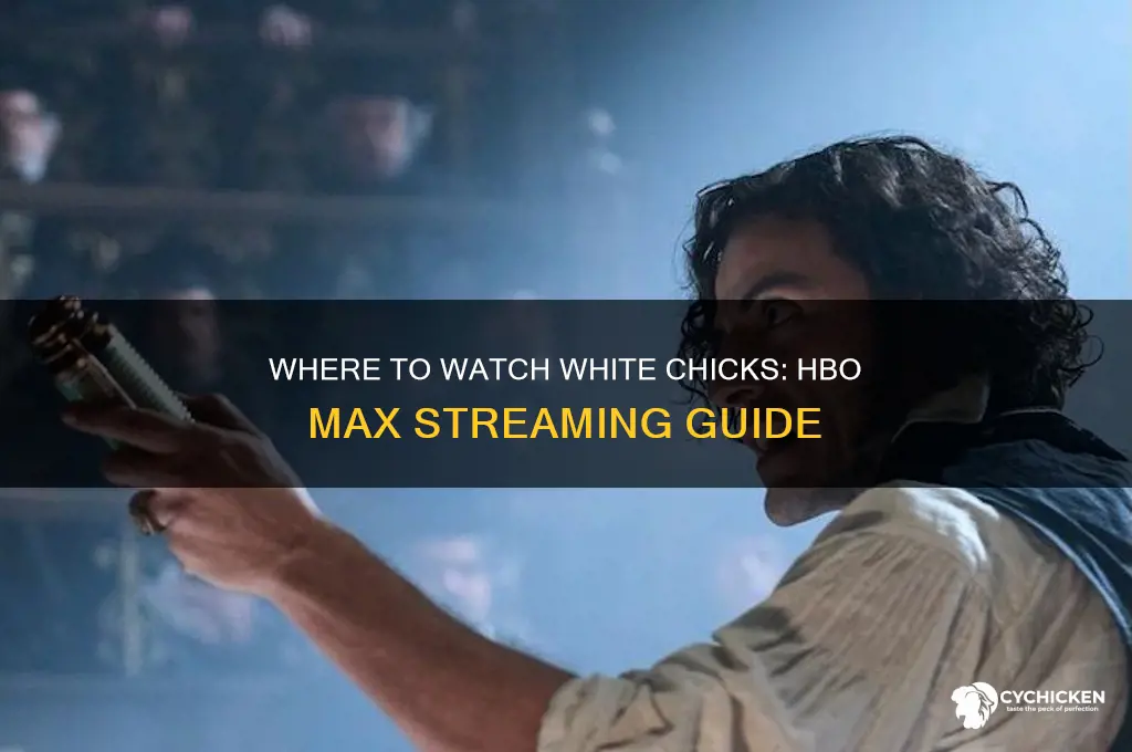 where to watch white chicks hbo max