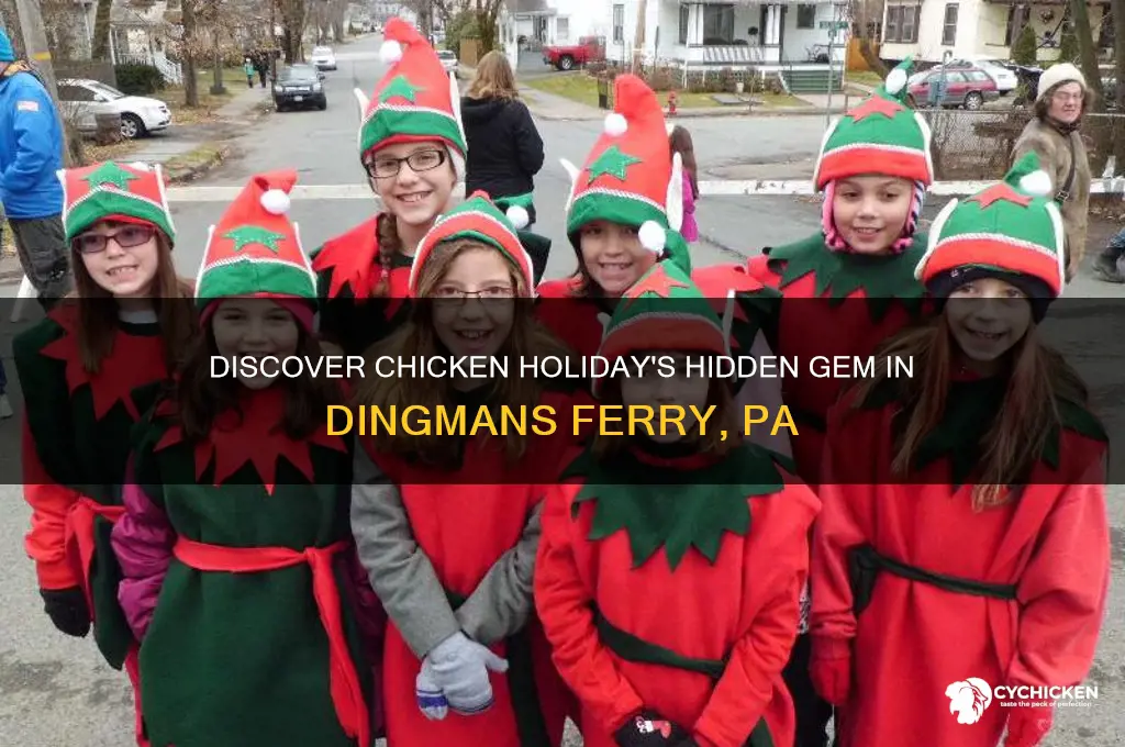 where was chicken holiday dingmans ferry pa