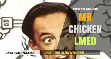 Unveiling the Filming Locations of Ghost and Mr. Chicken