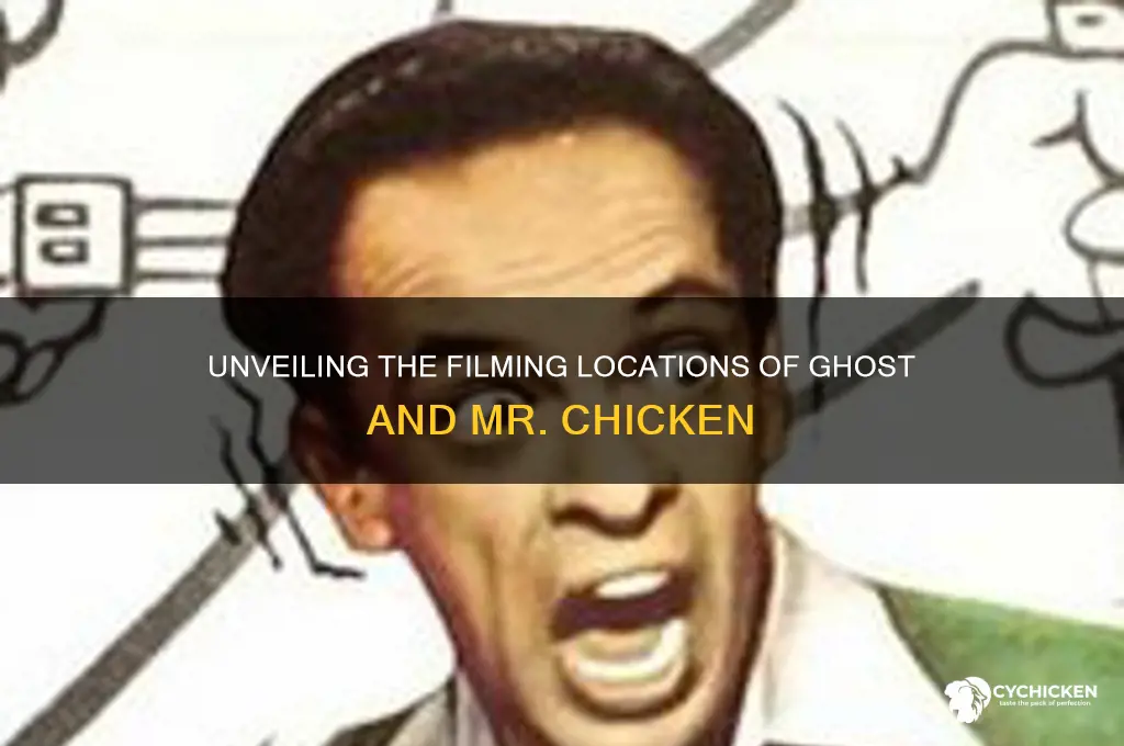 where was ghost and mr chicken lmed