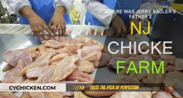 Jerry Nadler's Father's NJ Chicken Farm Location