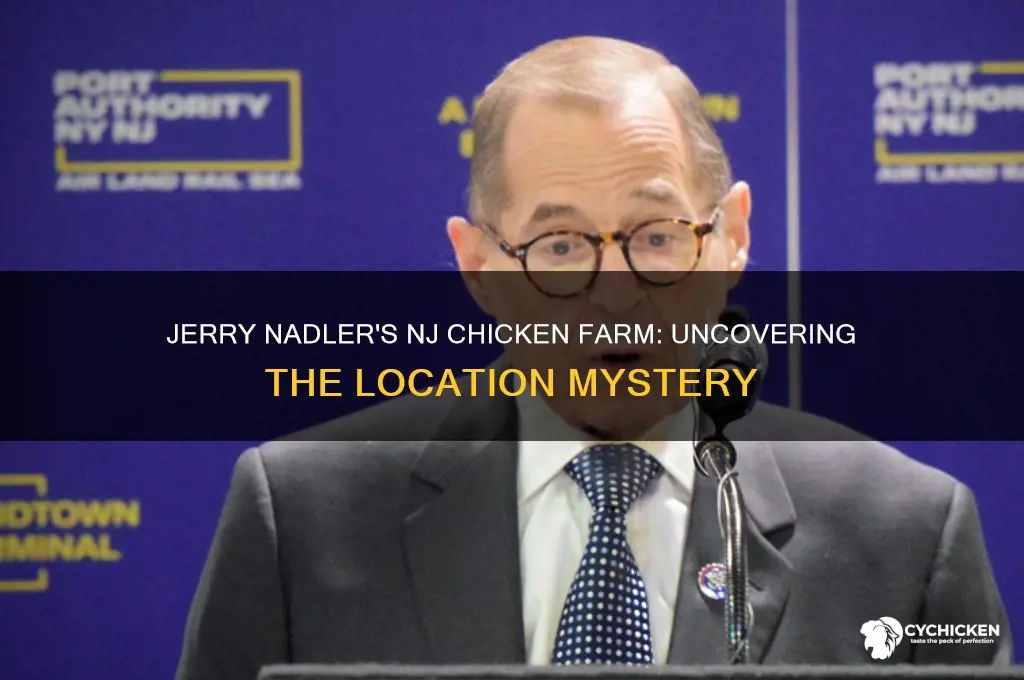 where was jerry nadler