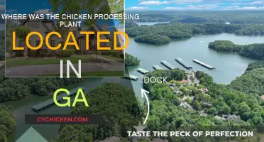 Chicken Processing Plants: Georgia's Location Secrets