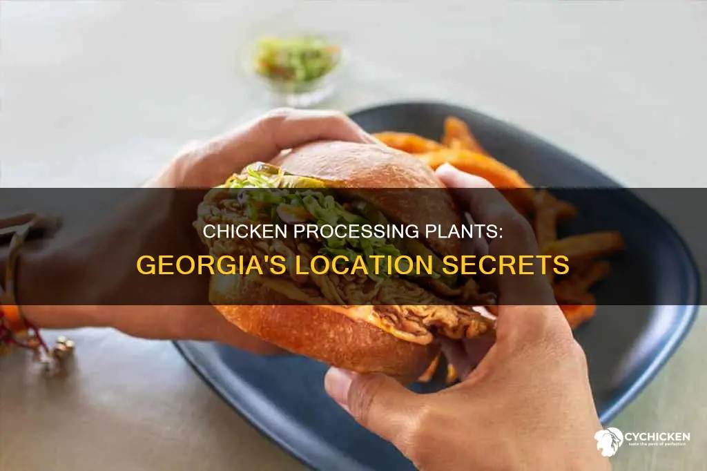 where was the chicken processing plant located in ga