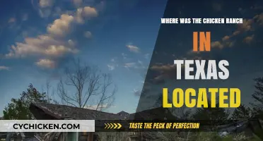 Unveiling the Infamous Chicken Ranch's Historic Texas Location