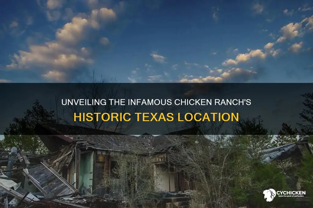 where was the chicken ranch in texas located