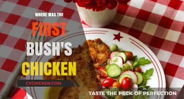 Discovering the Origins: Where Was the First Bush's Chicken?