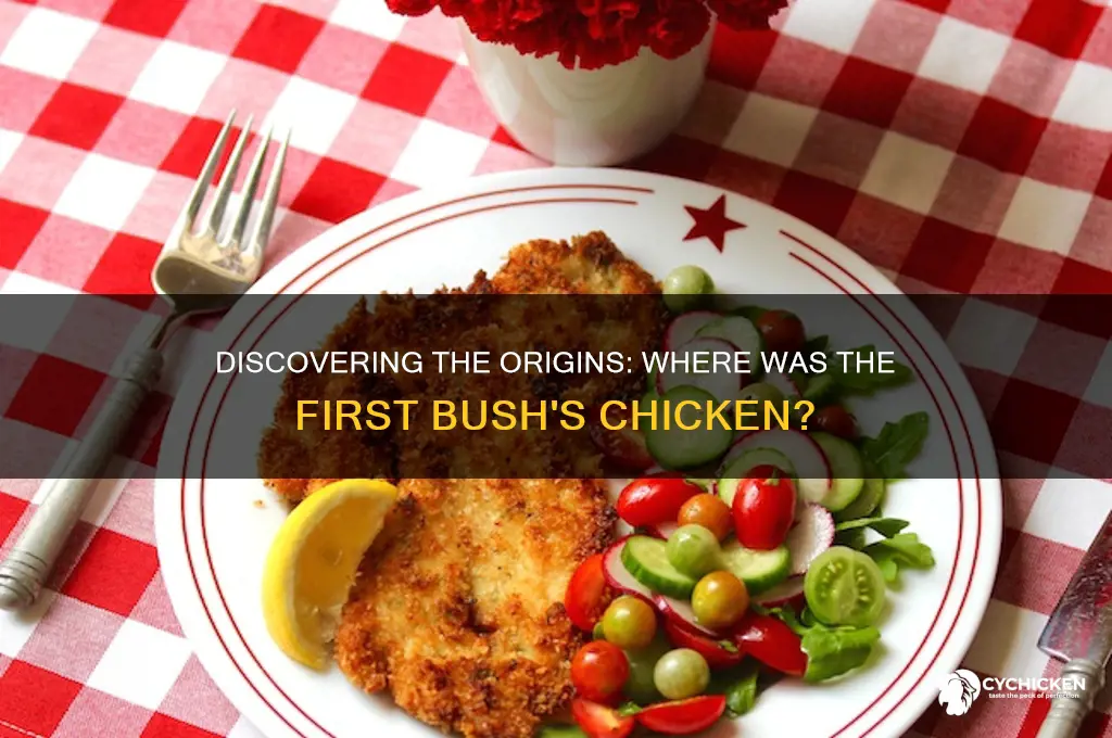 where was the first bush