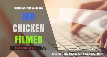 Unveiling the Filming Locations of 'The Ghost and Mr. Chicken