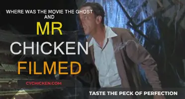 The Ghost and Mr. Chicken: Filming Location Explored