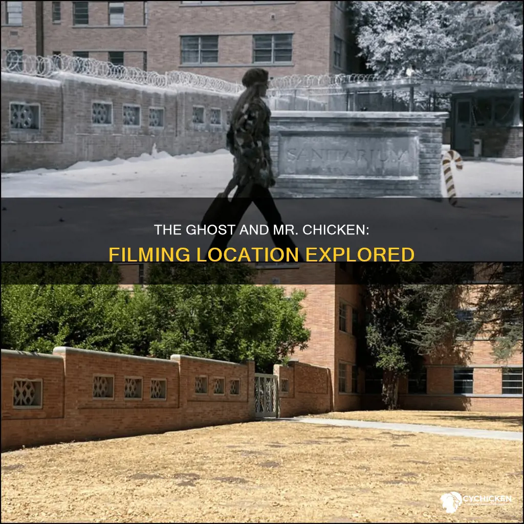 where was the movie the ghost and mr chicken filmed
