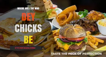 Tracking the Who Dey Chicks: Their Next Destination Revealed