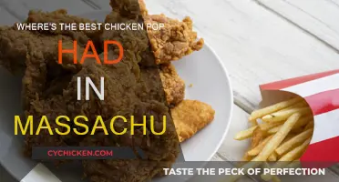 Best Chicken Pop in Massachusetts: Where to Go?