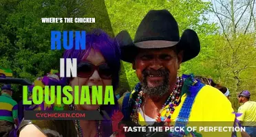 Exploring Louisiana's Chicken Run: A Guide to Finding the Best Spots