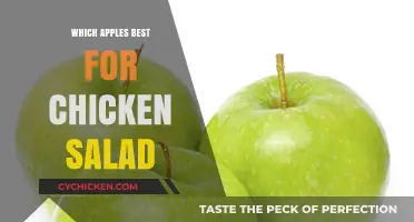 Crisp and Juicy: The Perfect Apples for Your Chicken Salad