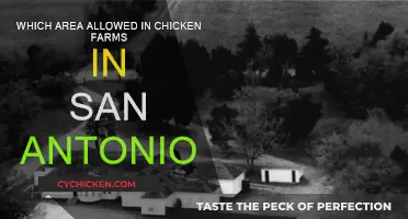 San Antonio's Chicken Farms: Exploring Zoning Laws