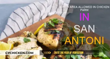 San Antonio's Chicken Parm: Where to Go?
