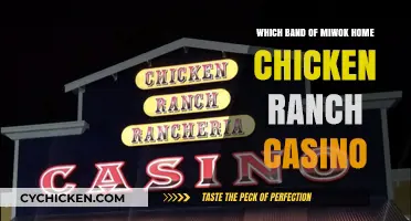 Miwok Tribe's Chicken Ranch Casino: A Cultural and Historical Overview