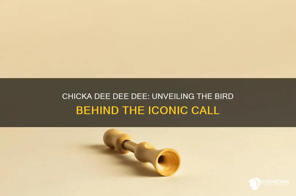 which bird goes chicka dee dee dee