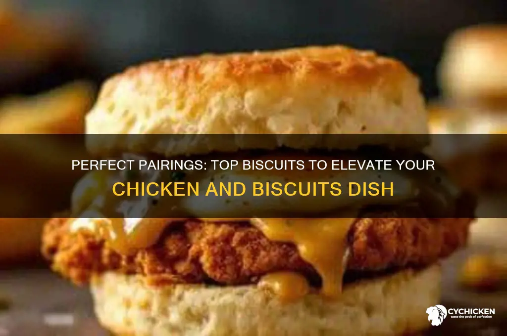 which biscuits are best for chicken and biscuits