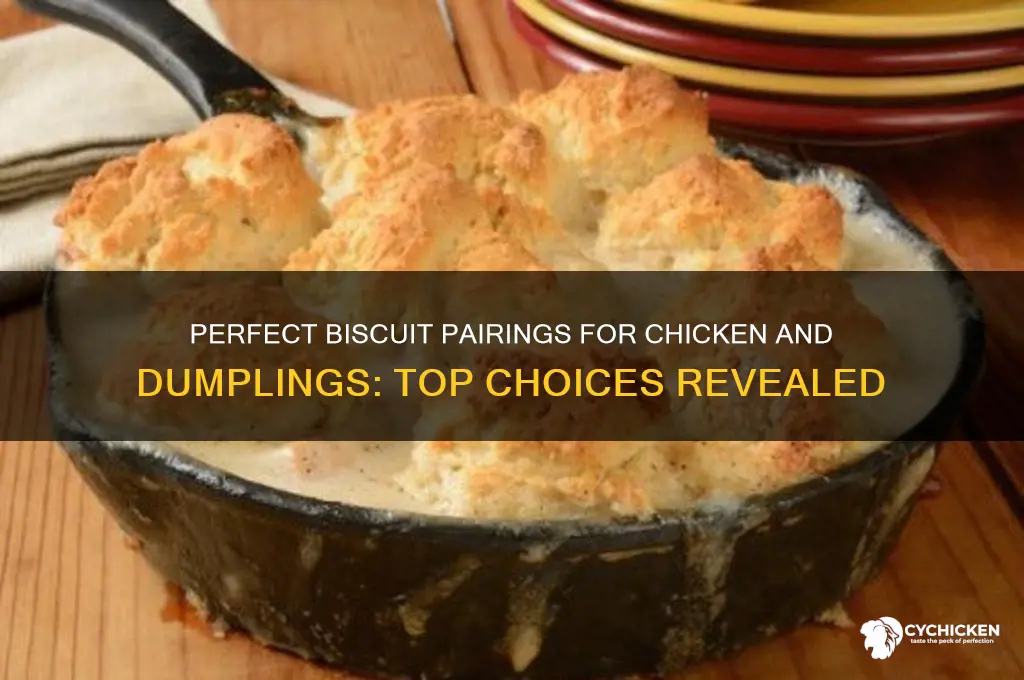 which biscuits are best for chicken and dumplings