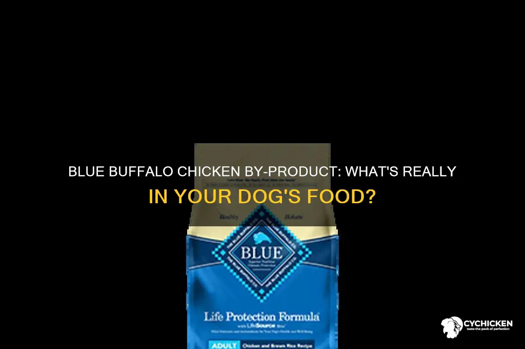 which blue buffalo havr chicken by product