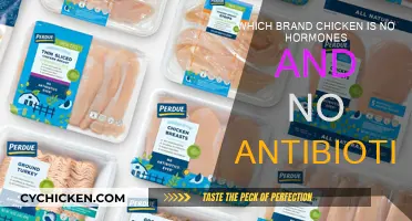 Chicken Brands: No Hormones, No Antibiotics