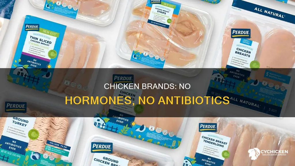 which brand chicken is no hormones and no antibiotic