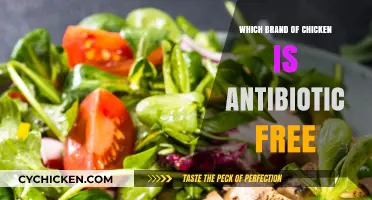 Discover the Best Antibiotic-Free Chicken Brands for Healthy Eating