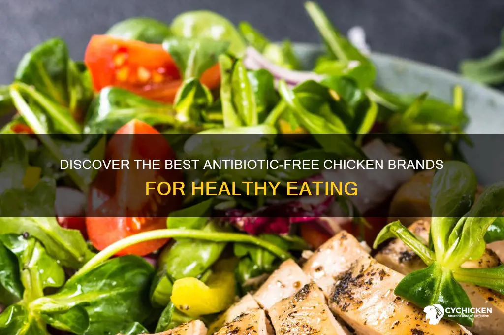 which brand of chicken is antibiotic free