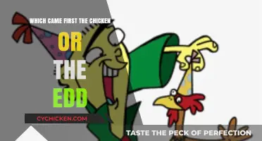 Unraveling the Mystery: Chicken vs. Edd - Which Came First?