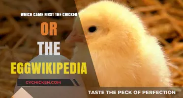 The Chicken or the Egg: Unraveling the Ancient Wikipedia Mystery