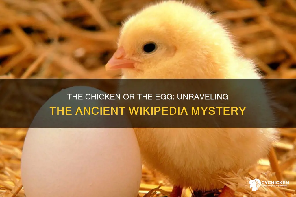which came first the chicken or the eggwikipedia