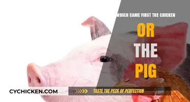 Chicken or Pig: Unraveling the Ancient Evolutionary Mystery