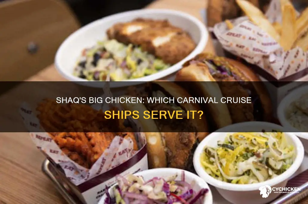 which carnival ships have shaq