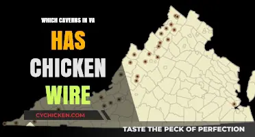 Exploring Virginia's Caverns: Which Feature Chicken Wire Structures?