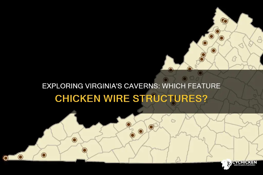 which caverns in va has chicken wire