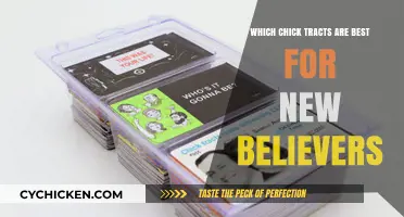 Top Chick Tracts to Guide New Believers in Their Faith Journey