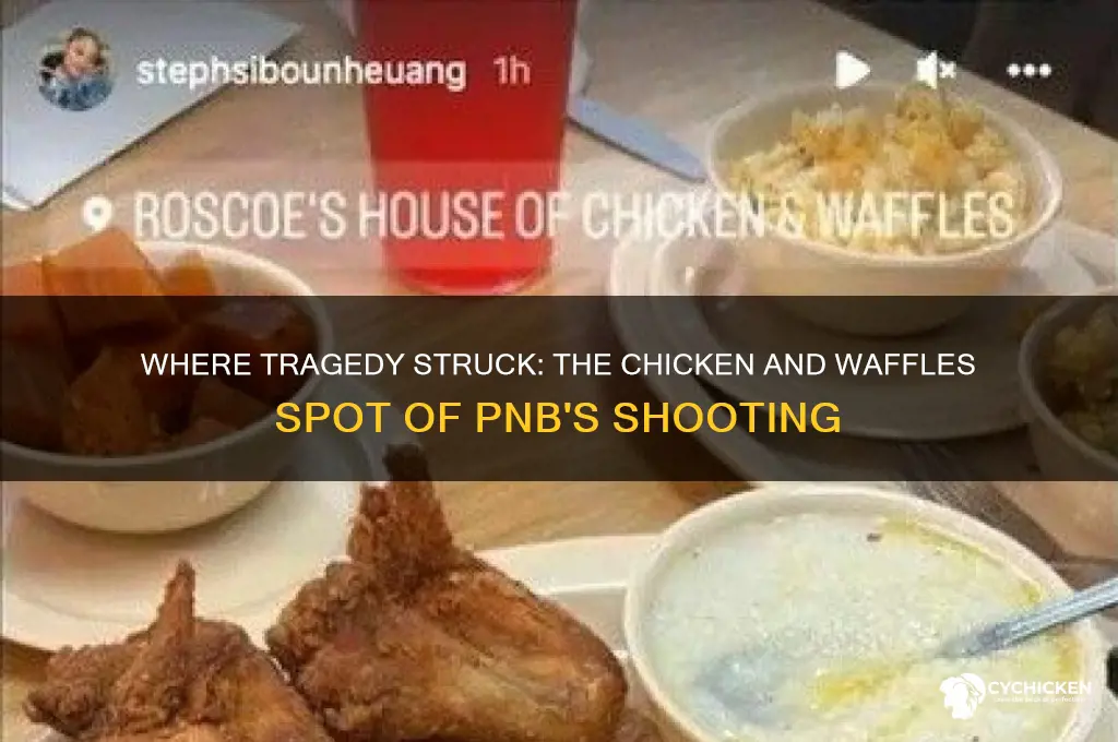 which chicken and waffles was pnb shot at
